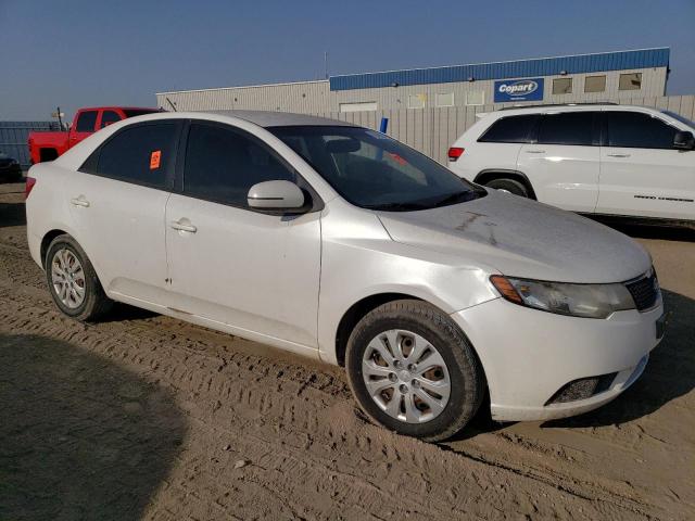 Photo 3 VIN: KNAFU4A23C5601896 - KIA FORTE EX 