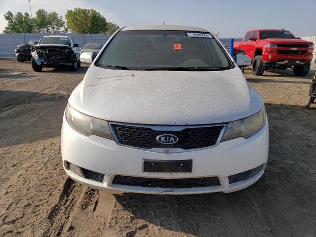 Photo 4 VIN: KNAFU4A23C5601896 - KIA FORTE EX 