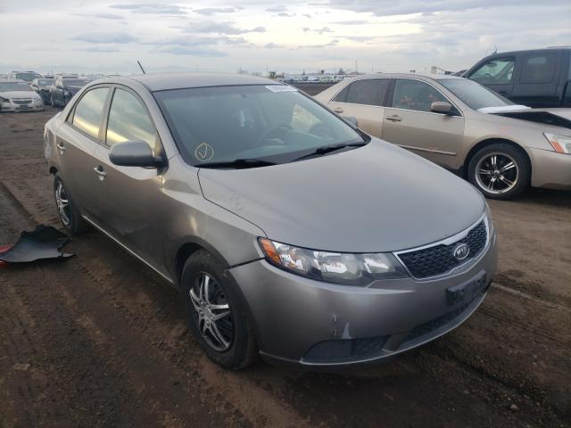 Photo 0 VIN: KNAFU4A23D5672257 - KIA FORTE EX 