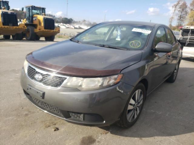 Photo 1 VIN: KNAFU4A23D5687230 - KIA FORTE EX 