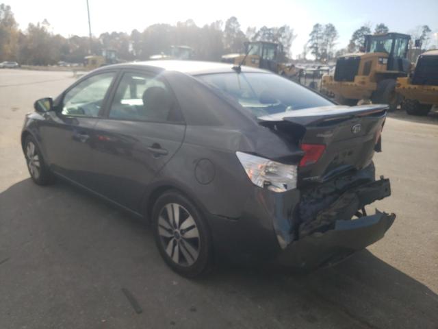 Photo 2 VIN: KNAFU4A23D5687230 - KIA FORTE EX 