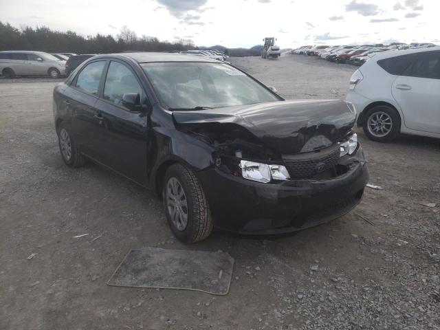 Photo 3 VIN: KNAFU4A23D5699040 - KIA FORTE EX 