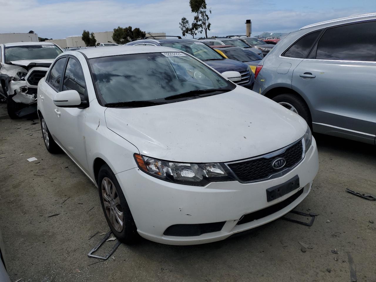 Photo 3 VIN: KNAFU4A23D5736992 - KIA FORTE 