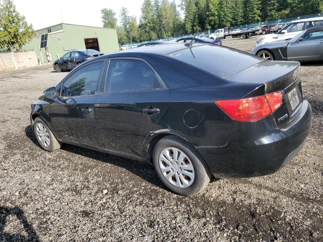 Photo 1 VIN: KNAFU4A24A5166075 - KIA FORTE EX 