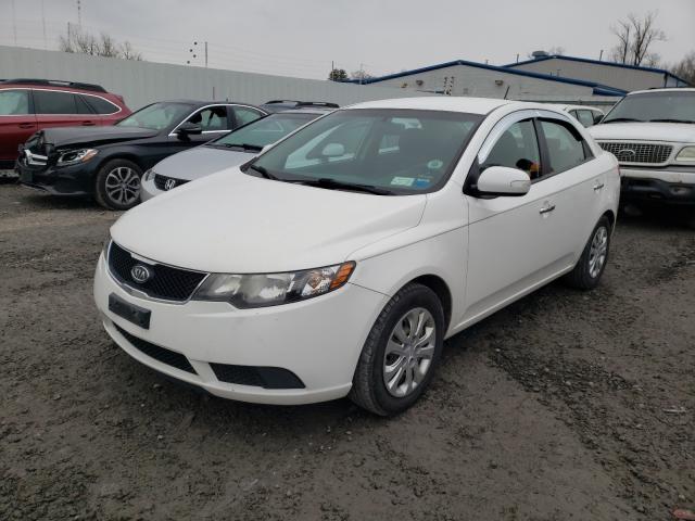 Photo 1 VIN: KNAFU4A24A5169834 - KIA FORTE EX 