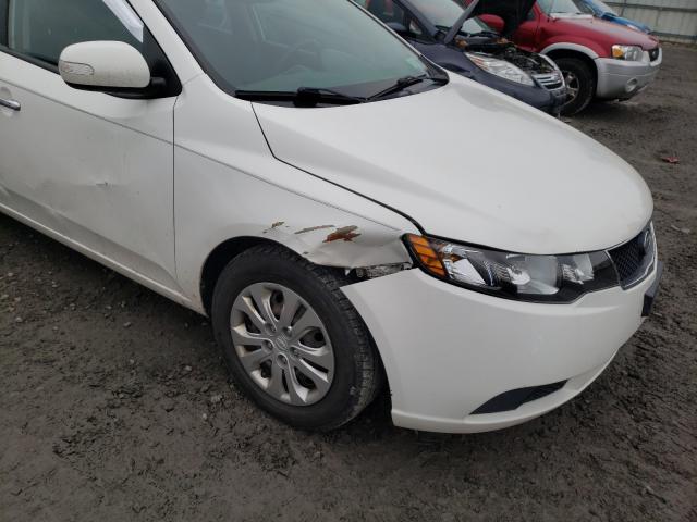 Photo 8 VIN: KNAFU4A24A5169834 - KIA FORTE EX 