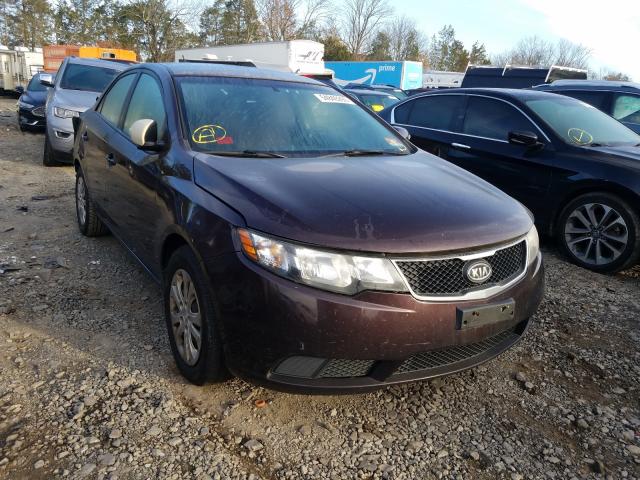 Photo 0 VIN: KNAFU4A24A5236092 - KIA FORTE EX 