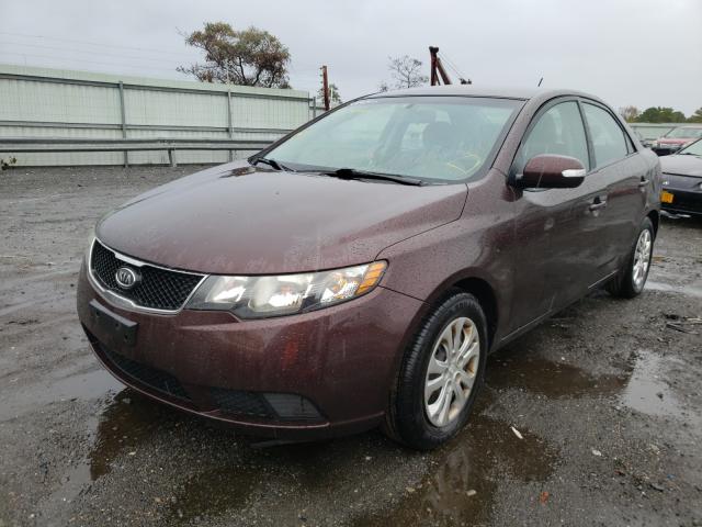 Photo 1 VIN: KNAFU4A24A5282151 - KIA FORTE EX 