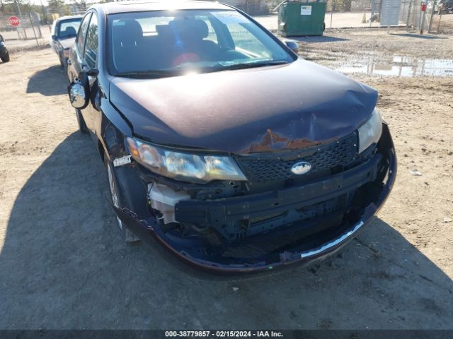 Photo 5 VIN: KNAFU4A24B5376600 - KIA FORTE 