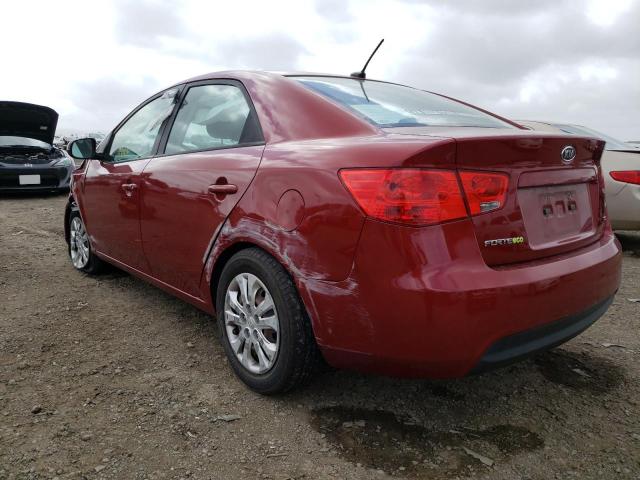 Photo 2 VIN: KNAFU4A24B5441574 - KIA FORTE EX 