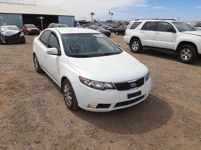 Photo 0 VIN: KNAFU4A24C5511172 - KIA FORTE EX 