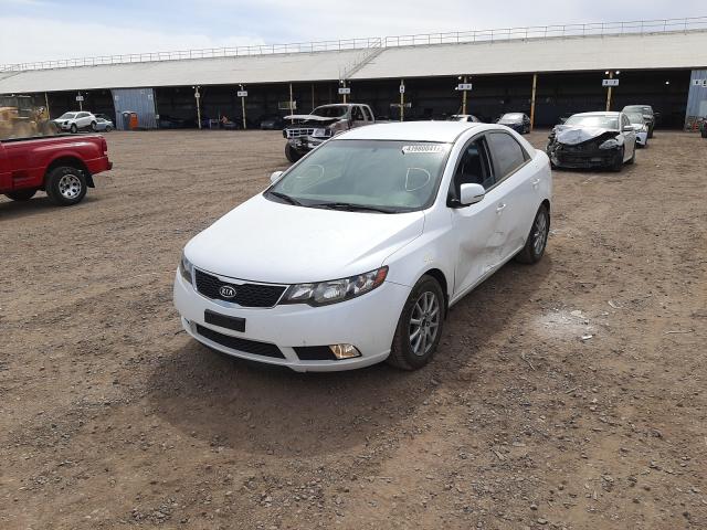 Photo 1 VIN: KNAFU4A24C5511172 - KIA FORTE EX 