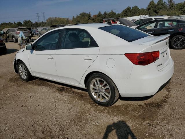 Photo 1 VIN: KNAFU4A24C5556063 - KIA FORTE EX 