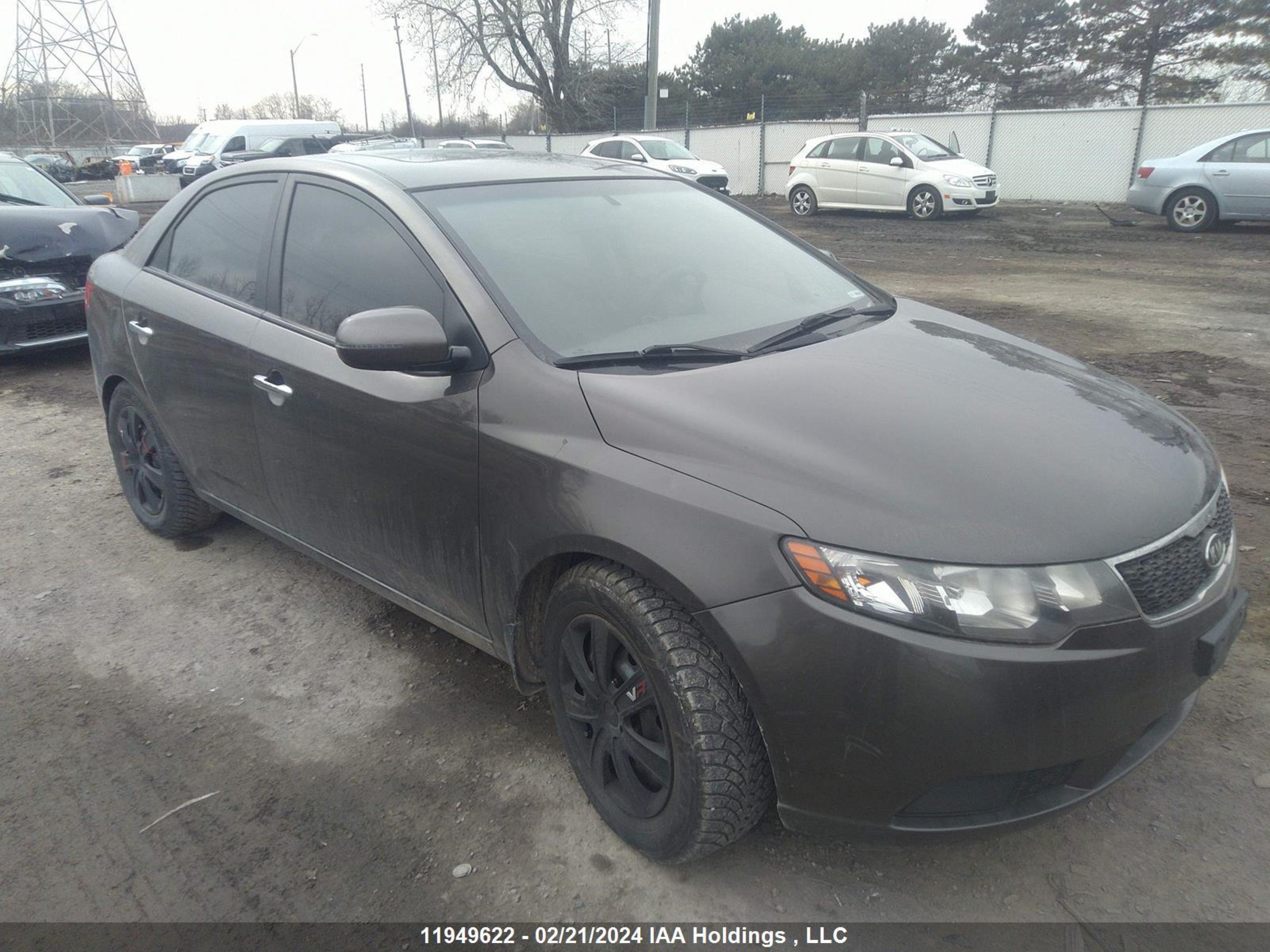 Photo 0 VIN: KNAFU4A24C5588883 - KIA FORTE 