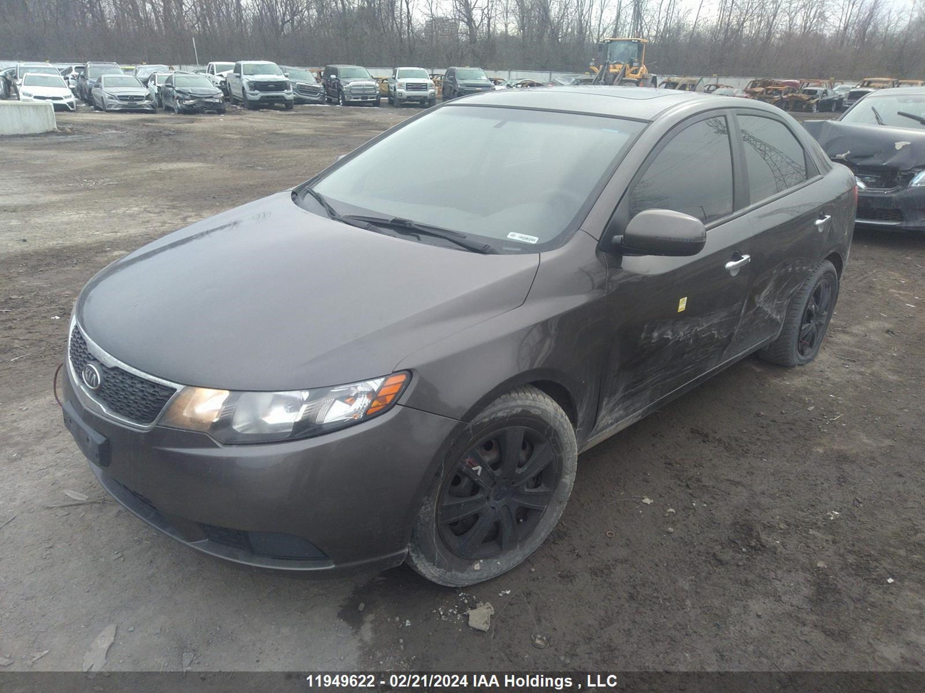 Photo 1 VIN: KNAFU4A24C5588883 - KIA FORTE 