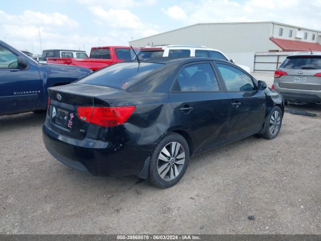 Photo 3 VIN: KNAFU4A24D5656245 - KIA FORTE 