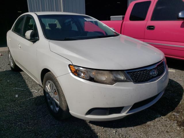 Photo 0 VIN: KNAFU4A24D5682232 - KIA FORTE EX 