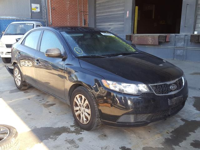 Photo 0 VIN: KNAFU4A24D5717240 - KIA FORTE EX 