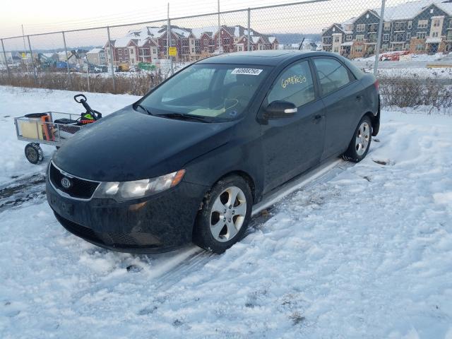 Photo 1 VIN: KNAFU4A25A5056202 - KIA FORTE EX 