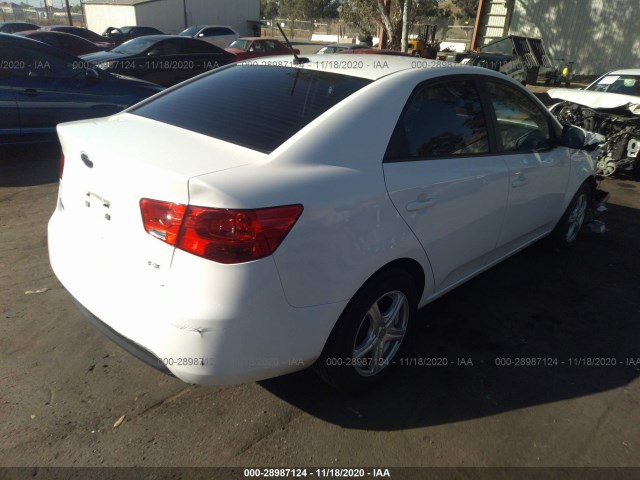 Photo 3 VIN: KNAFU4A25A5101431 - KIA FORTE 