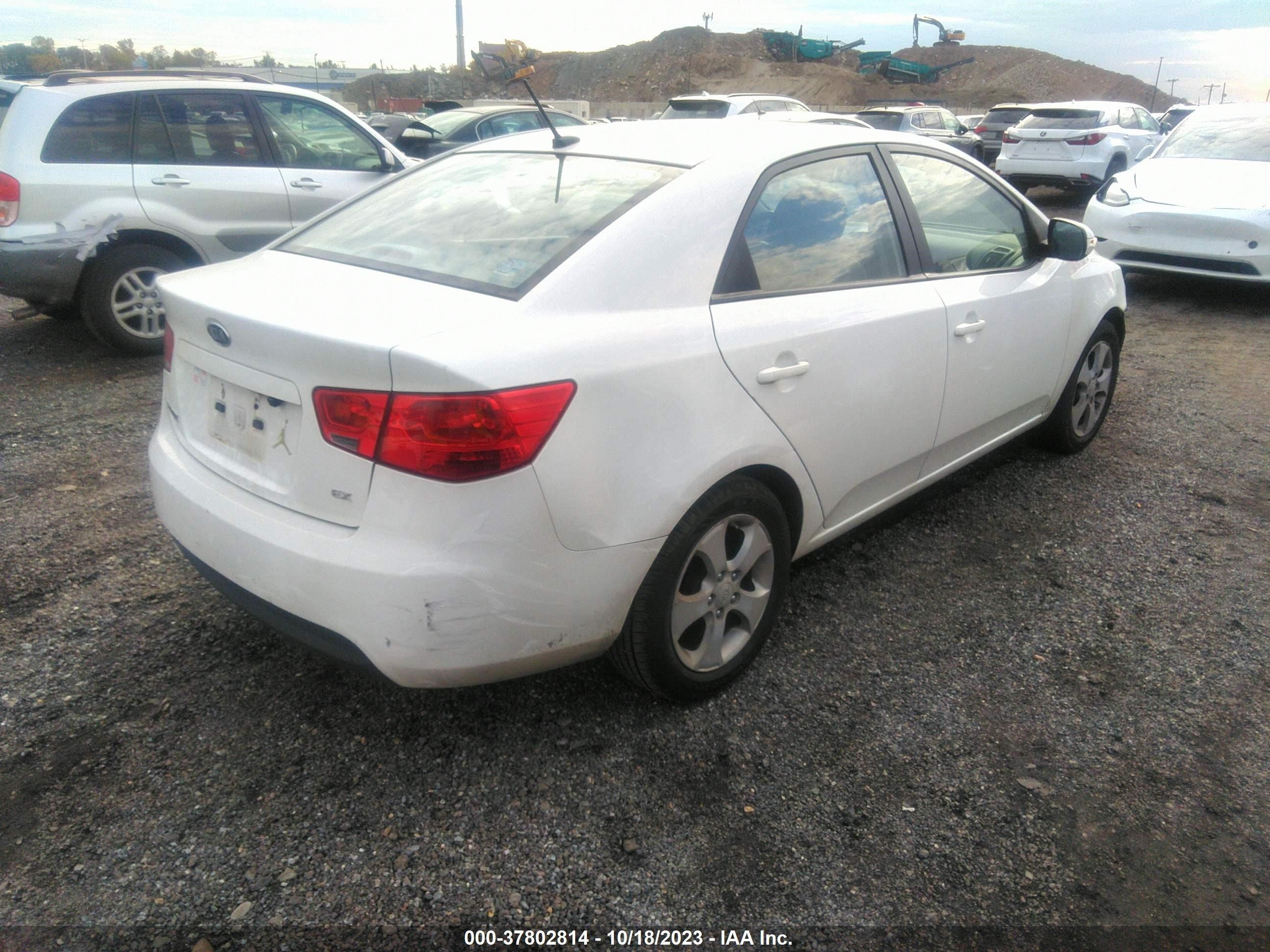 Photo 3 VIN: KNAFU4A25A5109741 - KIA FORTE 