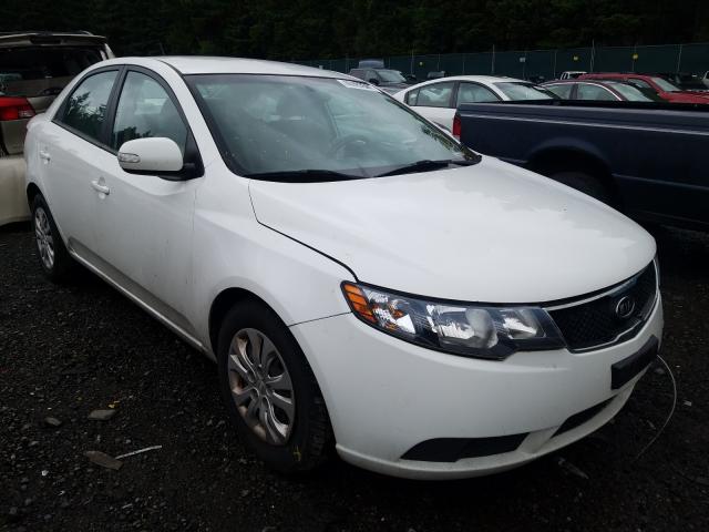 Photo 0 VIN: KNAFU4A25A5262278 - KIA FORTE EX 