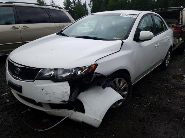 Photo 1 VIN: KNAFU4A25A5262278 - KIA FORTE EX 