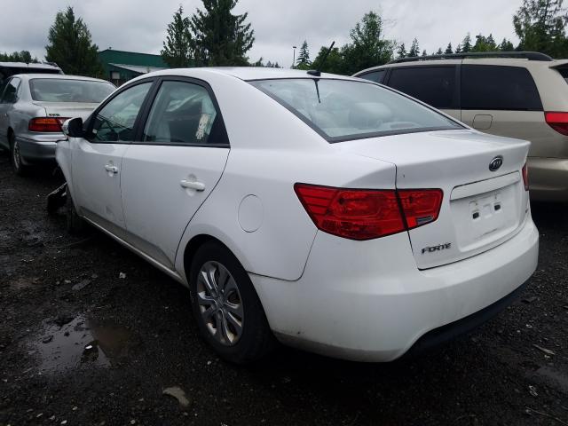 Photo 2 VIN: KNAFU4A25A5262278 - KIA FORTE EX 