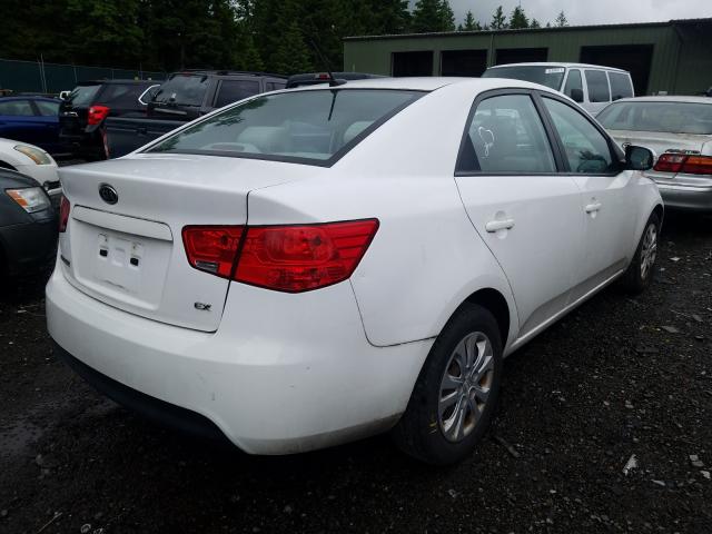 Photo 3 VIN: KNAFU4A25A5262278 - KIA FORTE EX 