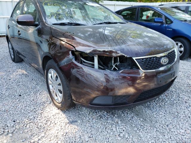 Photo 8 VIN: KNAFU4A25B5442880 - KIA FORTE EX 