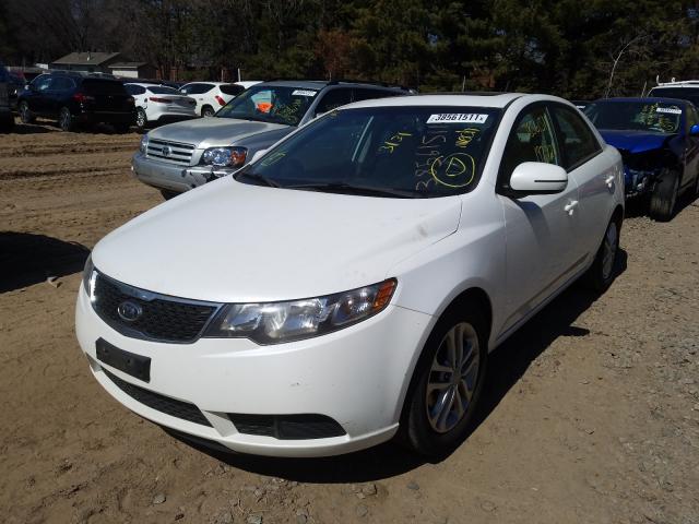 Photo 1 VIN: KNAFU4A25C5490378 - KIA FORTE EX 