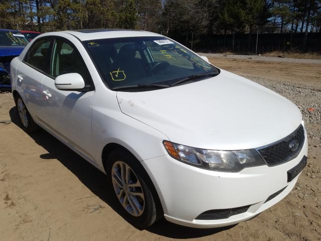 Photo 8 VIN: KNAFU4A25C5490378 - KIA FORTE EX 