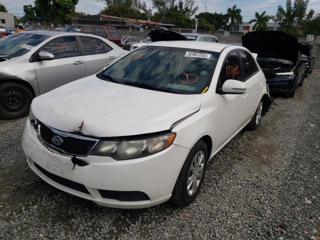 Photo 1 VIN: KNAFU4A25C5586012 - KIA FORTE EX 