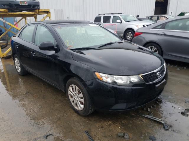 Photo 0 VIN: KNAFU4A25C5591243 - KIA FORTE EX 