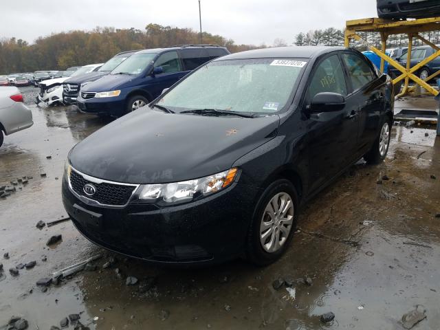 Photo 1 VIN: KNAFU4A25C5591243 - KIA FORTE EX 