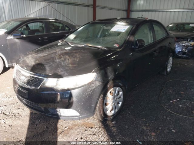 Photo 1 VIN: KNAFU4A25C5599245 - KIA FORTE 