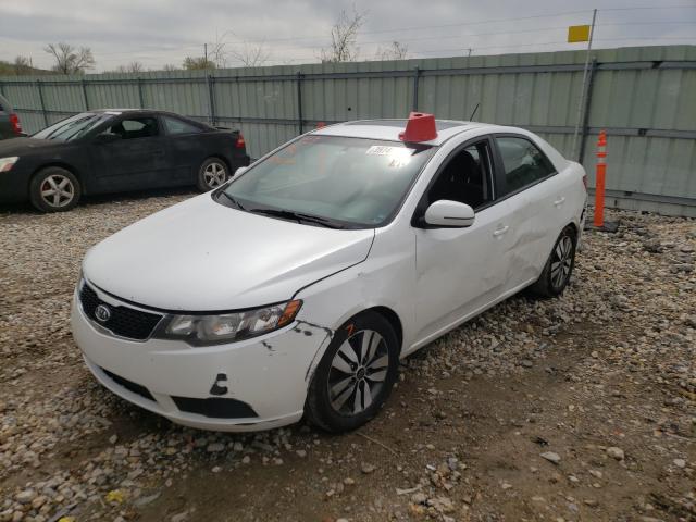 Photo 1 VIN: KNAFU4A25D5704044 - KIA FORTE EX 