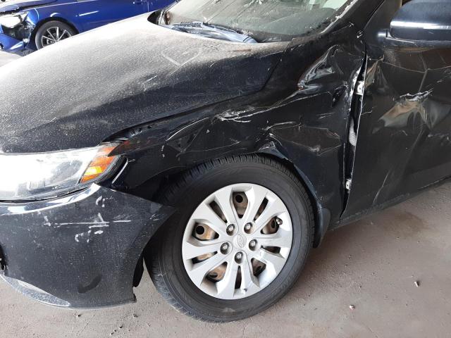 Photo 8 VIN: KNAFU4A25D5713987 - KIA FORTE EX 