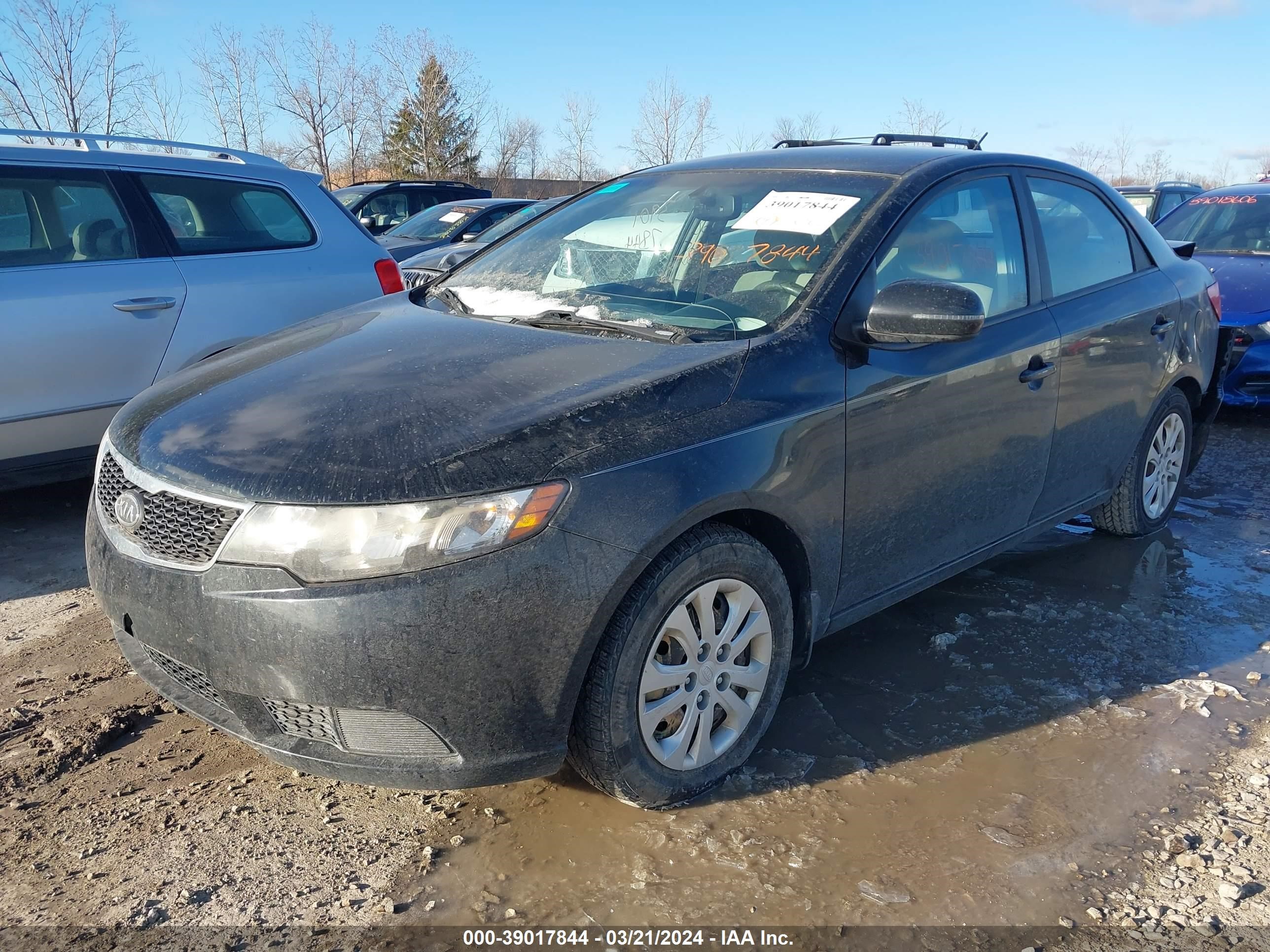 Photo 1 VIN: KNAFU4A25D5733835 - KIA FORTE 