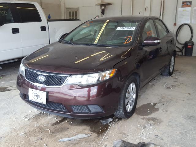 Photo 1 VIN: KNAFU4A26A5106427 - KIA FORTE EX 