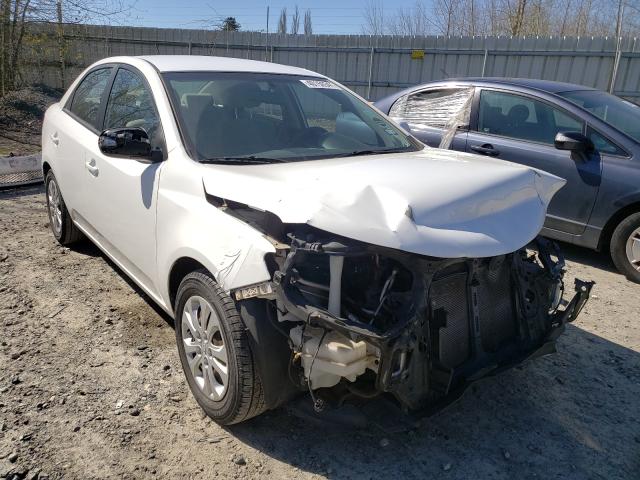 Photo 0 VIN: KNAFU4A26A5175554 - KIA FORTE EX 