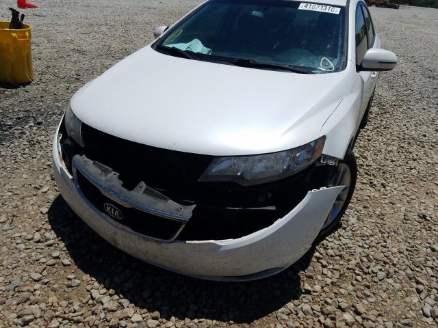 Photo 8 VIN: KNAFU4A26B5363640 - KIA FORTE EX 