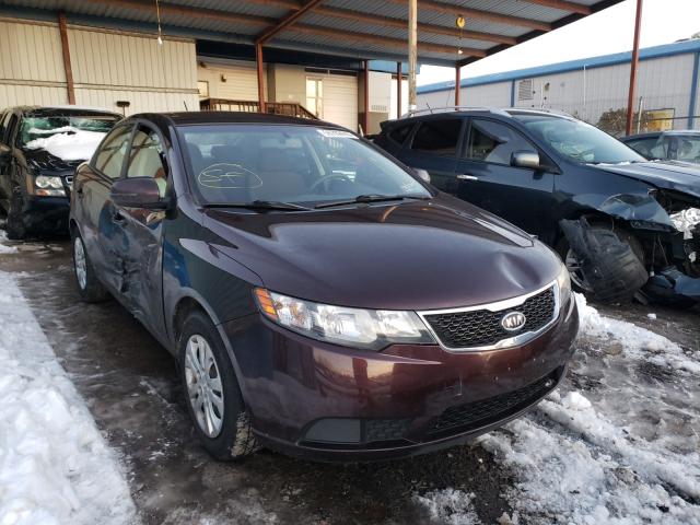 Photo 0 VIN: KNAFU4A26B5366666 - KIA FORTE EX 