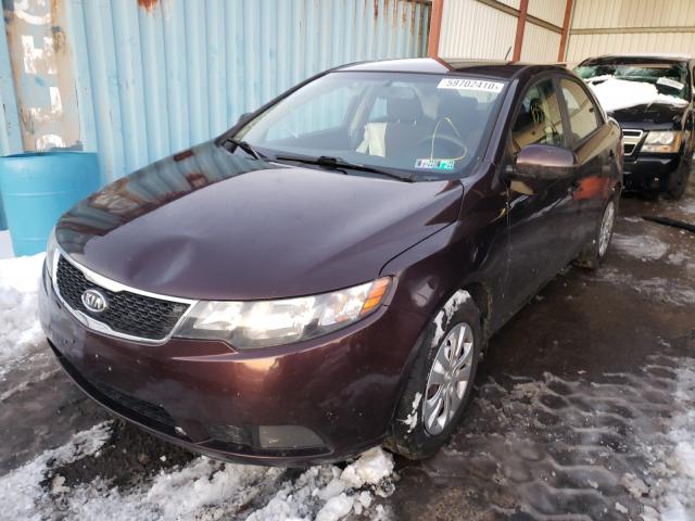 Photo 1 VIN: KNAFU4A26B5366666 - KIA FORTE EX 