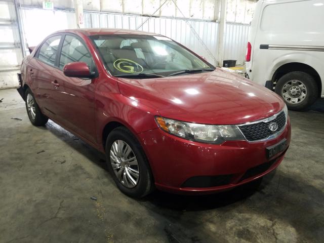 Photo 0 VIN: KNAFU4A26B5402873 - KIA FORTE EX 