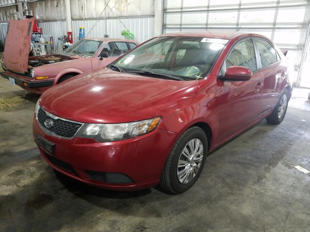 Photo 1 VIN: KNAFU4A26B5402873 - KIA FORTE EX 