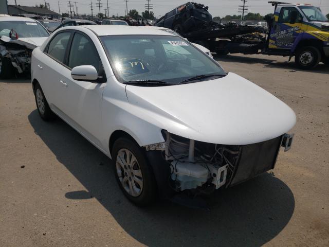 Photo 0 VIN: KNAFU4A26B5437509 - KIA FORTE EX 