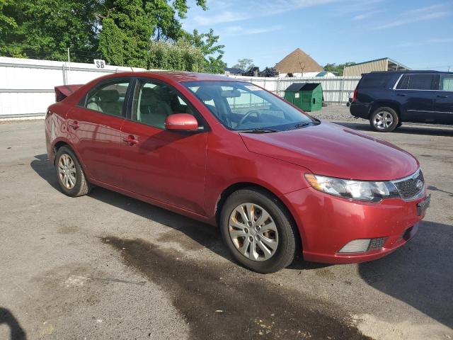 Photo 3 VIN: KNAFU4A26B5453872 - KIA FORTE 