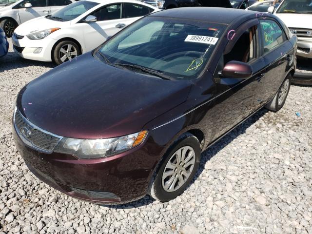 Photo 1 VIN: KNAFU4A26B5459509 - KIA FORTE EX 