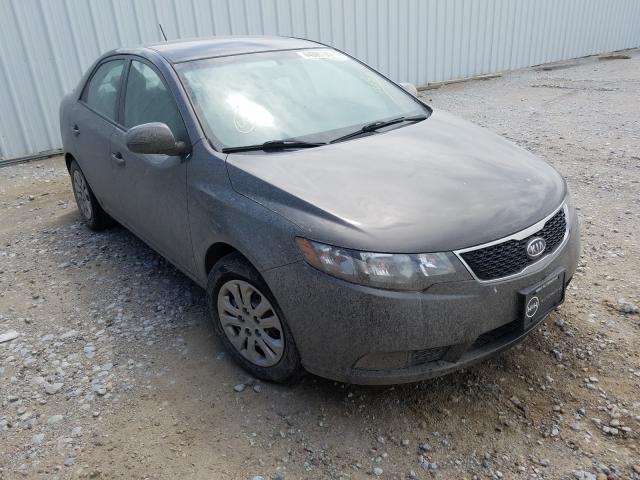 Photo 0 VIN: KNAFU4A26C5491183 - KIA FORTE EX 